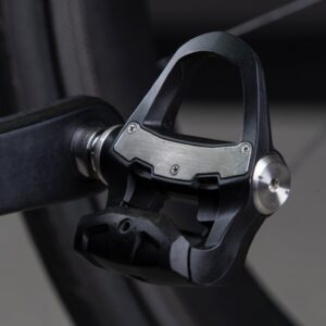Garmin RS 100 y RS 200
